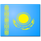 Nikitina/Shaken flag